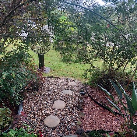 Kyogle Comfy Homestay Kültér fotó