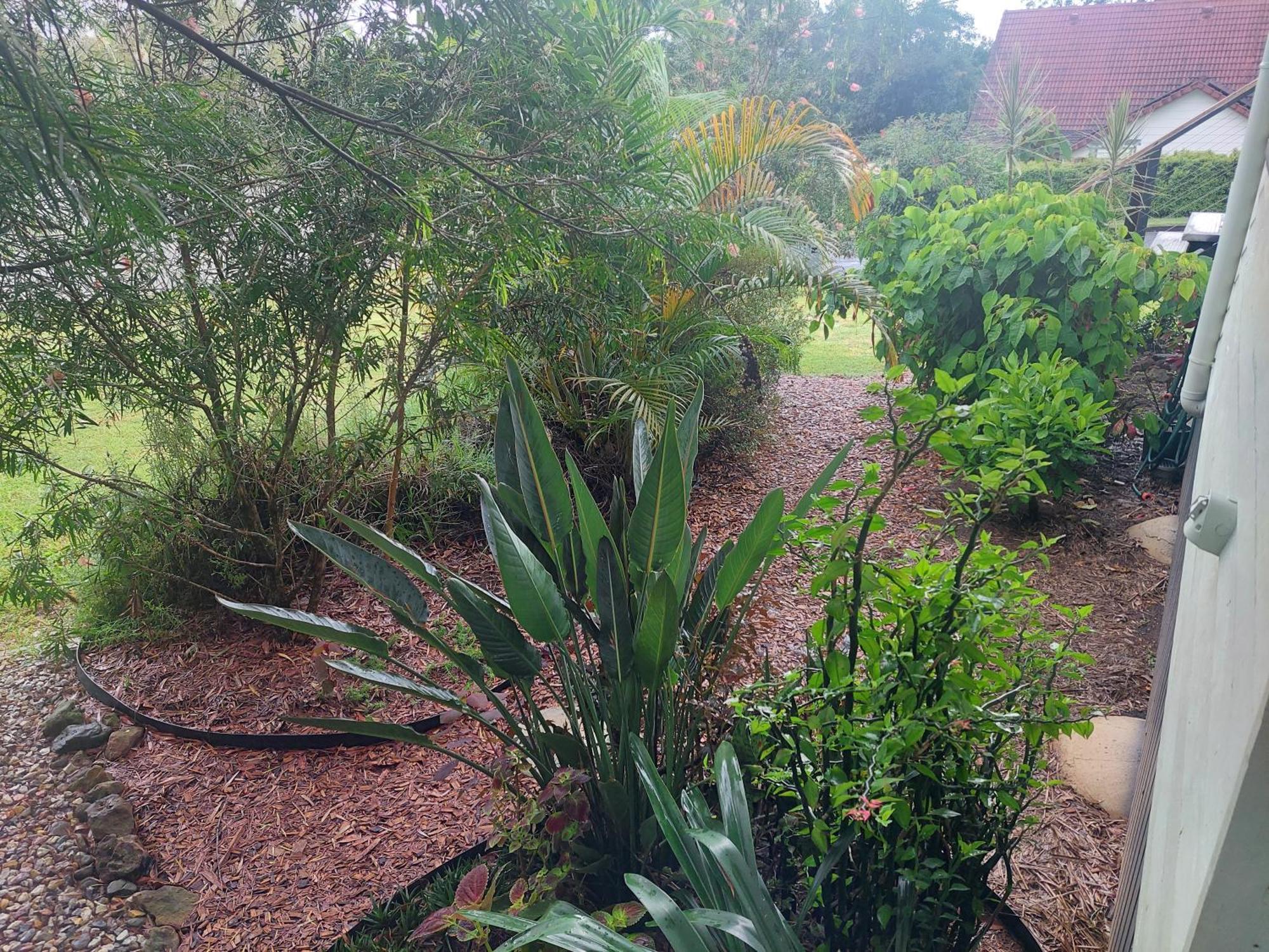 Kyogle Comfy Homestay Szoba fotó